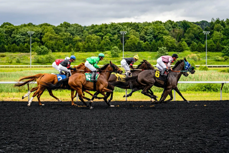 Horse Racing Wagering