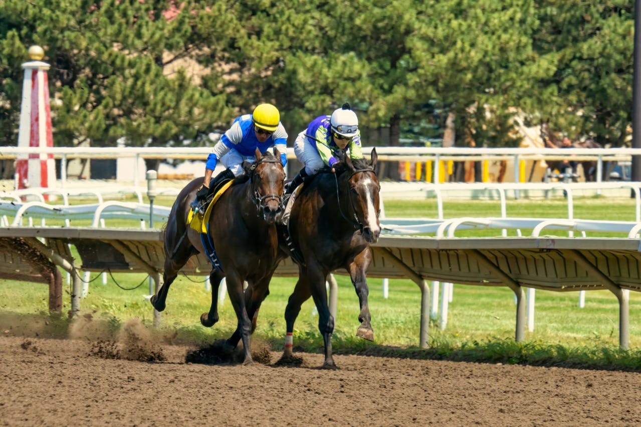 Understanding Trifecta and Superfecta Bets in Horse Racing