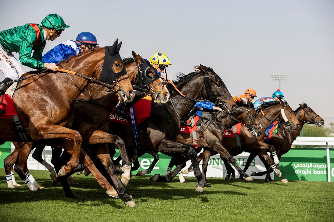 2025 Saudi Cup Offers Exciting Race and Prize Pool